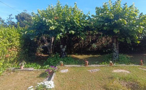 Villa in Monte Morello-Cercina, Municipality of Sesto Fiorentino, Tuscany 1