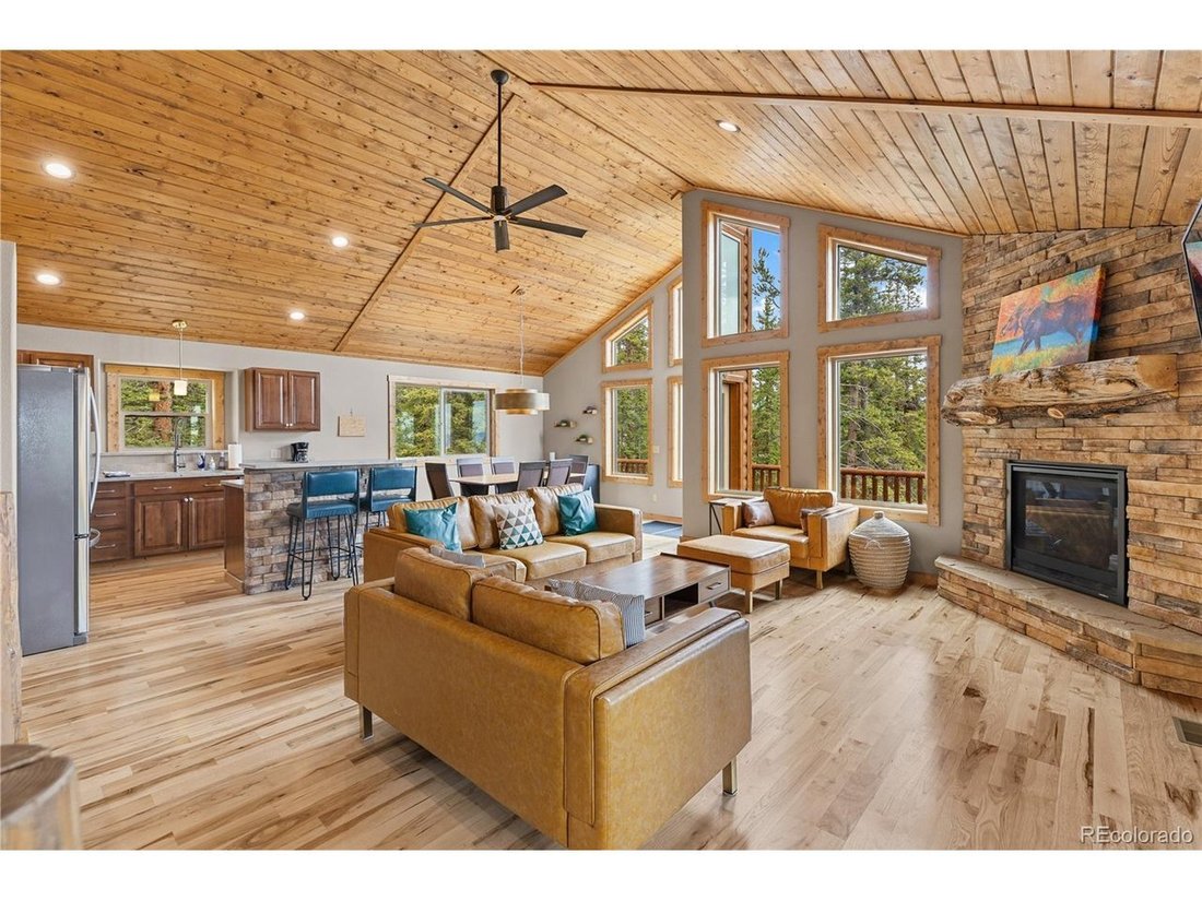 House in Alma, Colorado, United States 4 - 18131590