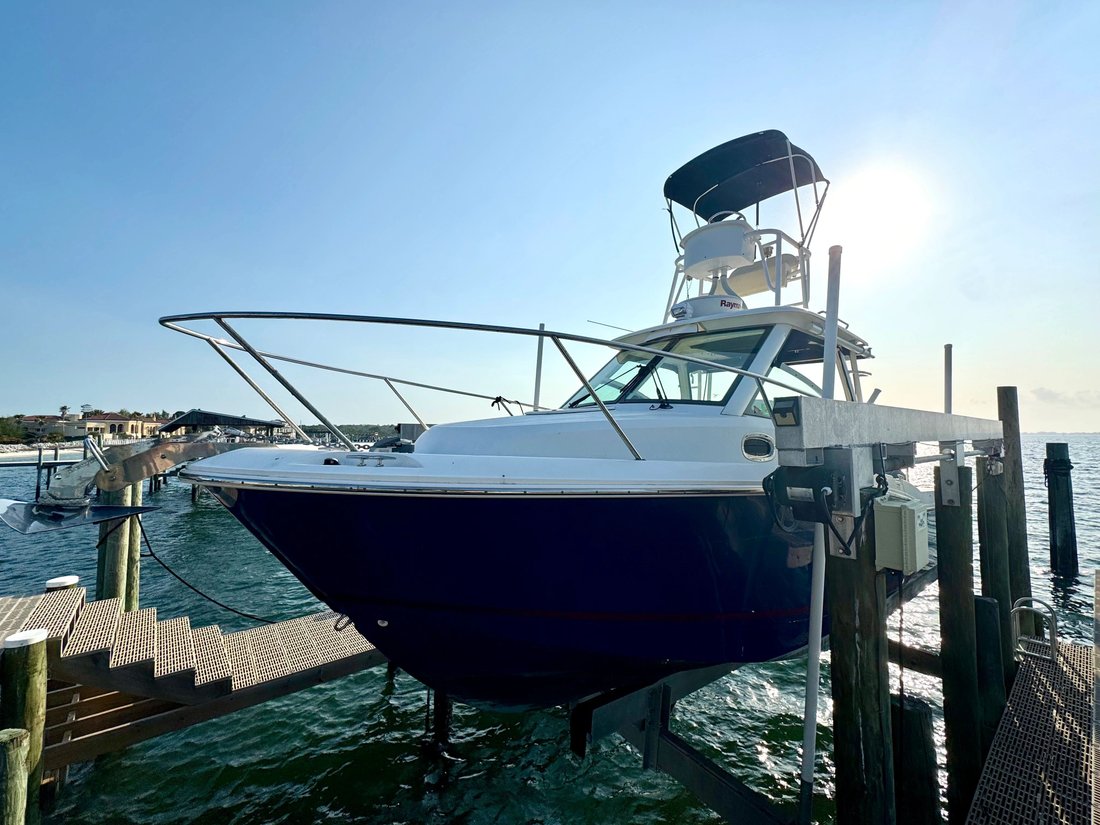 Cruiser in United States 3 - 18130876