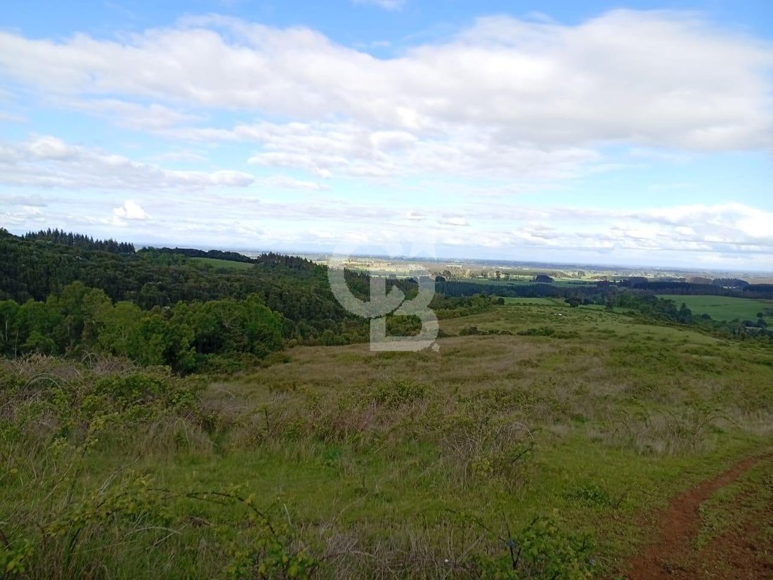 Land in San Pablo, Los Lagos, Chile 3 - 18127287