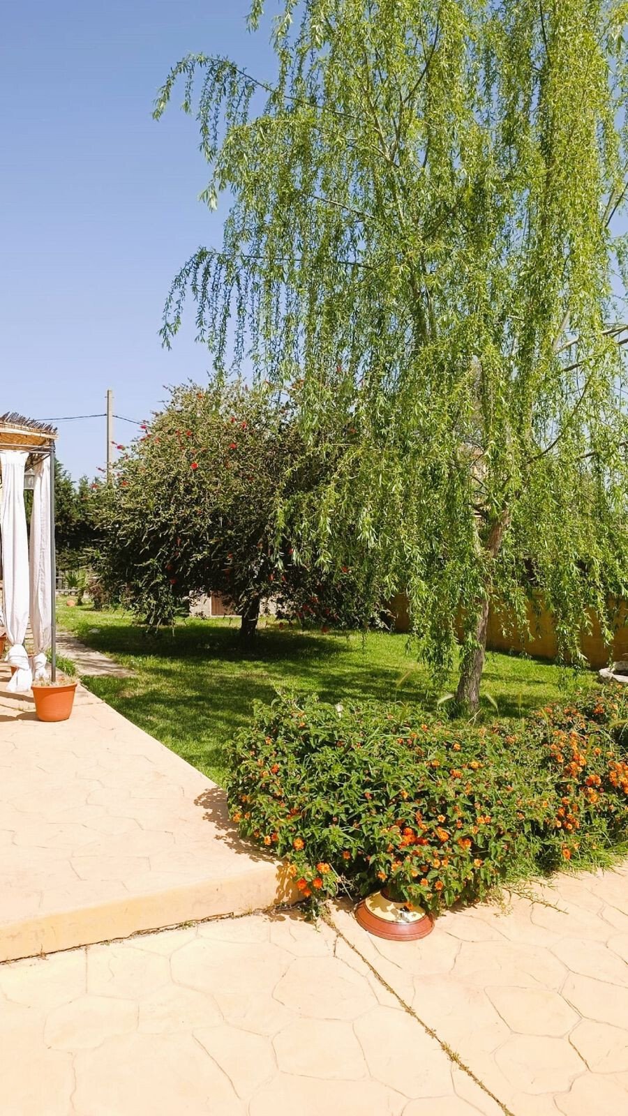 Finca in Aljaraque, Andalusia, Spain 5 - 18131789