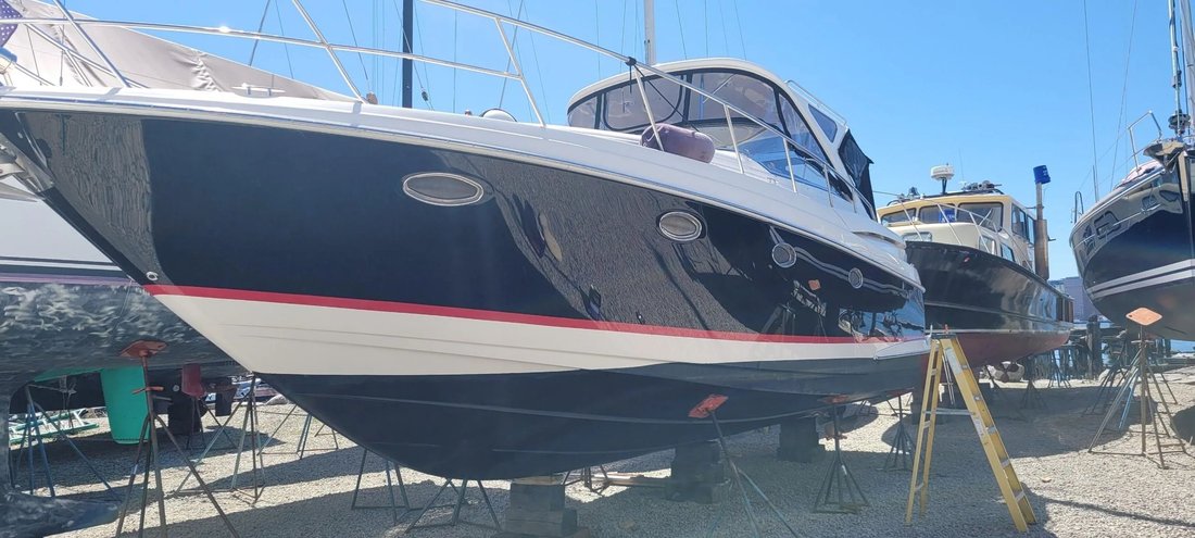Cruiser in United States 3 - 17885285