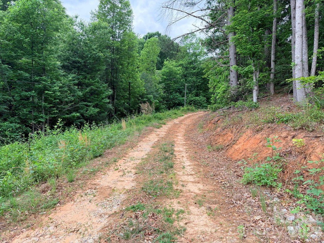 Land in Ferguson, North Carolina, United States 3 - 18128896