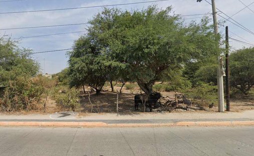 Land in San Isidro Mazatepec, Jalisco, Mexico 1