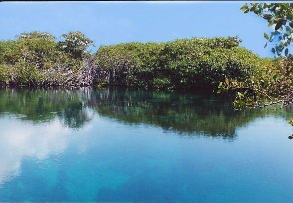 Land in Tulum, Quintana Roo, Mexico 5 - 18127218