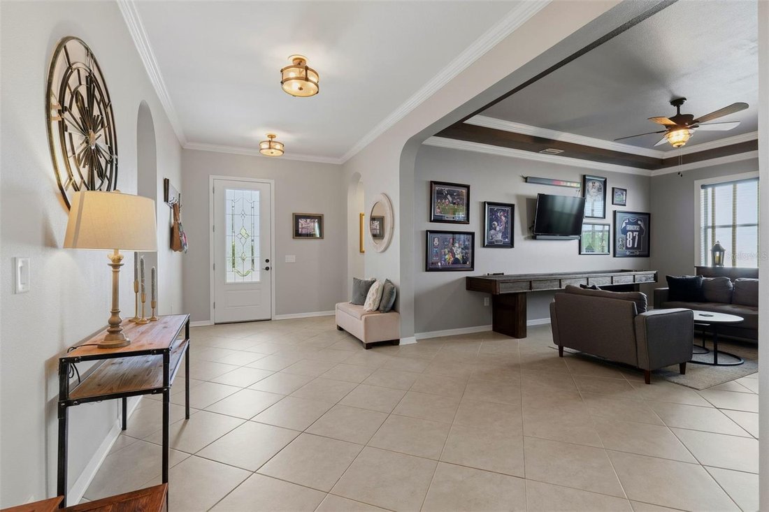 House in Wesley Chapel, Florida, United States 4 - 18127954