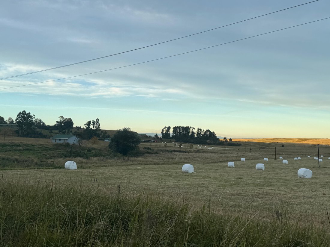 Farm Ranch in Impendle Local Municipality, KwaZulu-Natal, South Africa 1 - 18130758