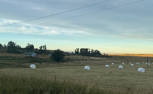Farm Ranch in Marabou Estate, KwaZulu-Natal, South Africa 1