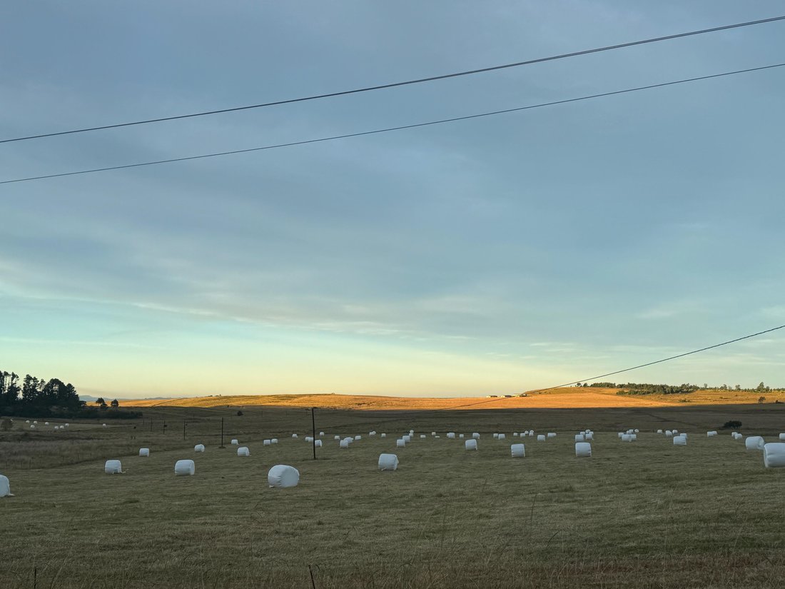 Farm Ranch in Impendle Local Municipality, KwaZulu-Natal, South Africa 2 - 18130758