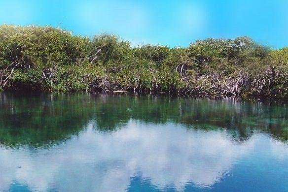 Land in Tulum, Quintana Roo, Mexico 2 - 18127218