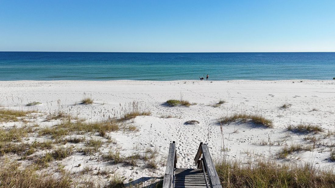 Pensacola, Florida, United States 5 - 18134316