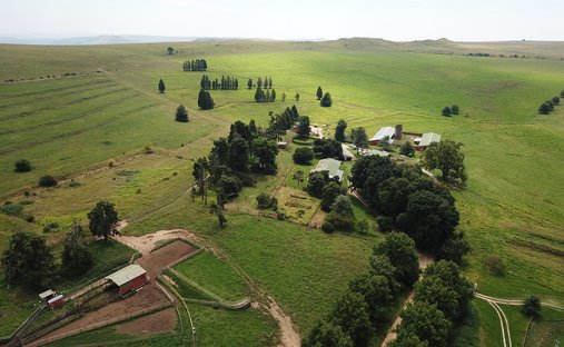 Azienda agricola a Mooi River, KwaZulu-Natal, Sudafrica 1