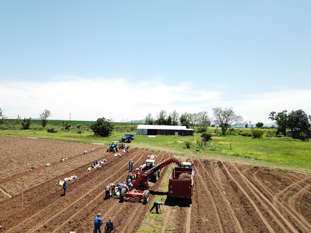 Farm Ranch in Estcourt, KwaZulu-Natal, South Africa 4 - 18130750
