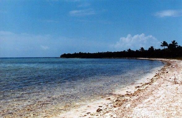 Land in Tulum, Quintana Roo, Mexico 1 - 18127218