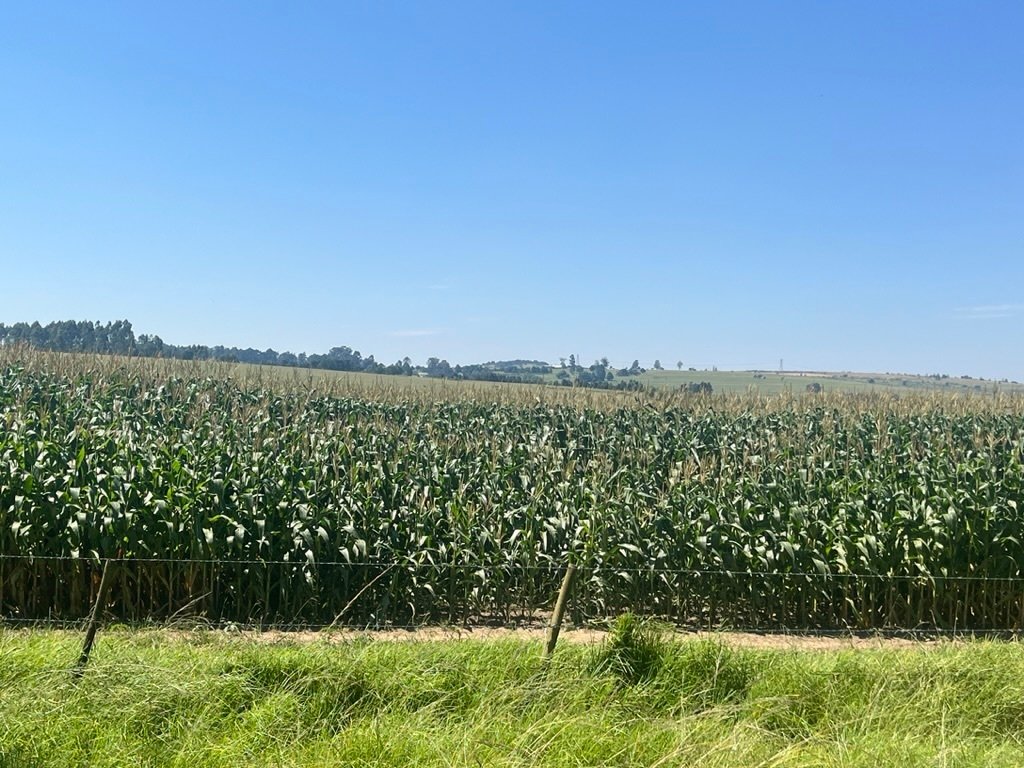 Farm Ranch in Mooi River, KwaZulu-Natal, South Africa 2 - 18130747