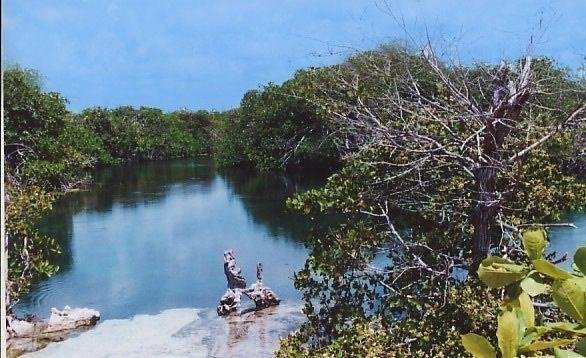 Land in Tulum, Quintana Roo, Mexico 4 - 18127218
