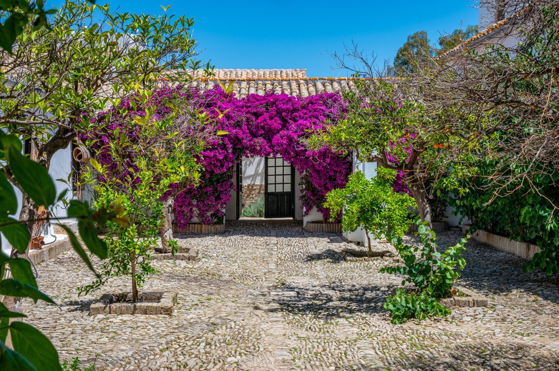 Country House in Cadiz, Andalusia, Spain 5 - 18133339