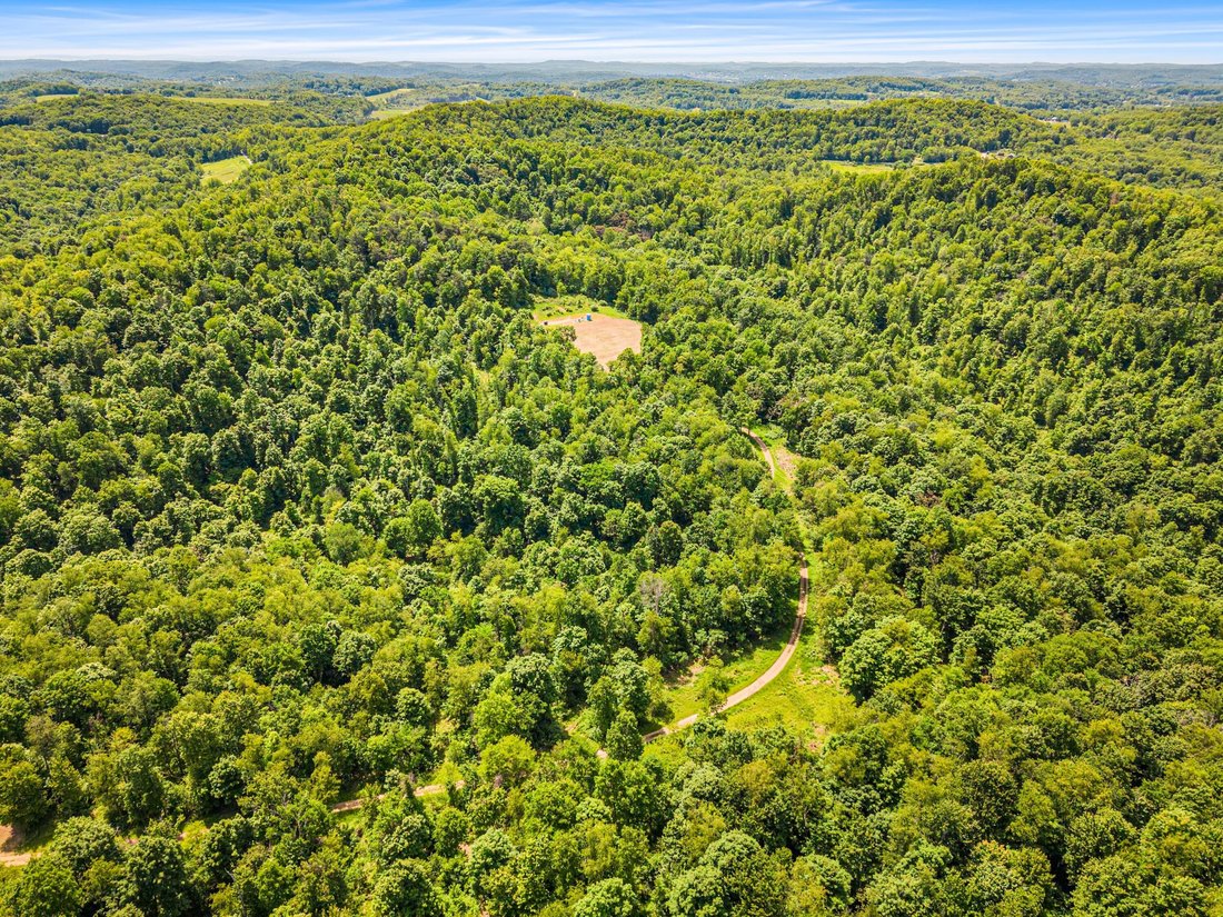 Farm Ranch in Vandergrift, Pennsylvania, United States 2 - 18133027