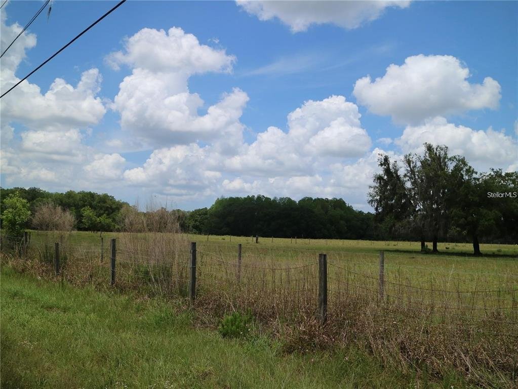Land in Odessa, Florida, United States 4 - 18133394