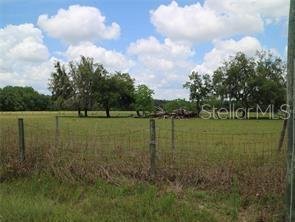 Land in Odessa, Florida, United States 1 - 18133394