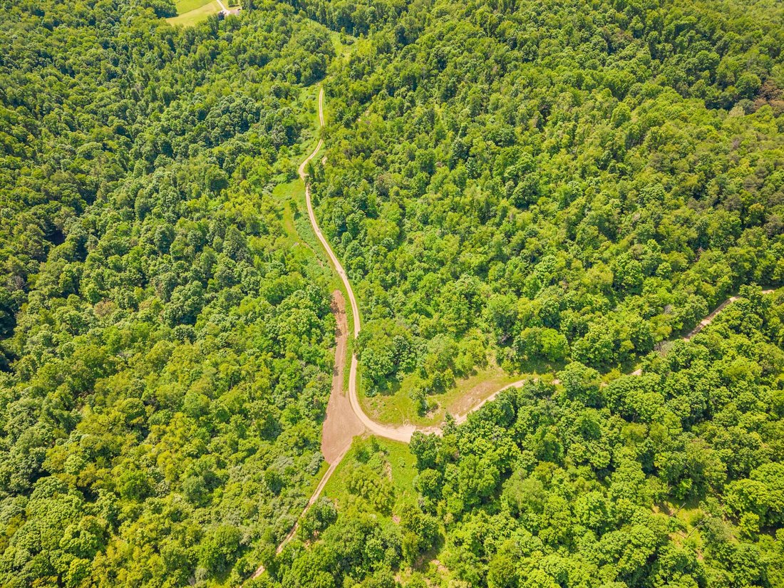 Farm Ranch in Vandergrift, Pennsylvania, United States 5 - 18133027