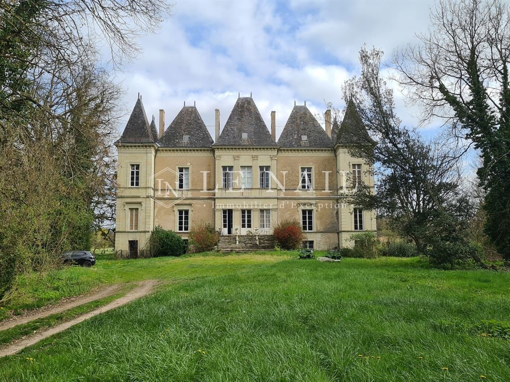 Castle in Delessert-Saint Louis-Nantilly, Saumur, France 2 - 18133684