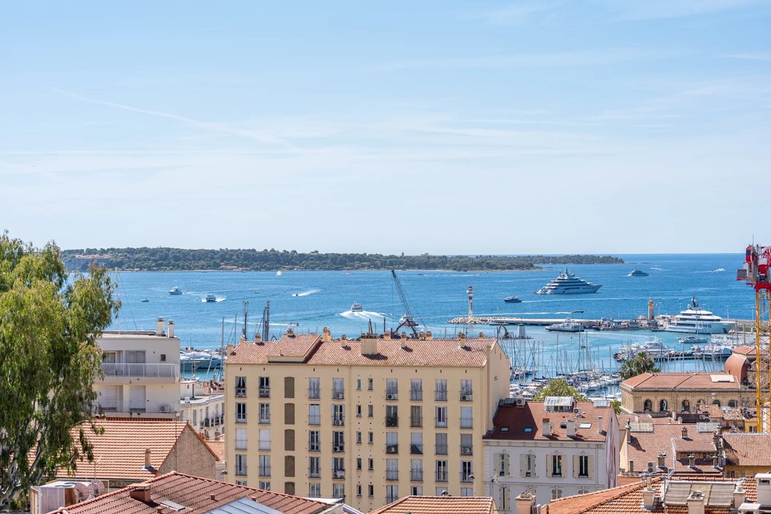 Apartment in Cannes, Provence-Alpes-Côte d'Azur, France 4 - 18133650