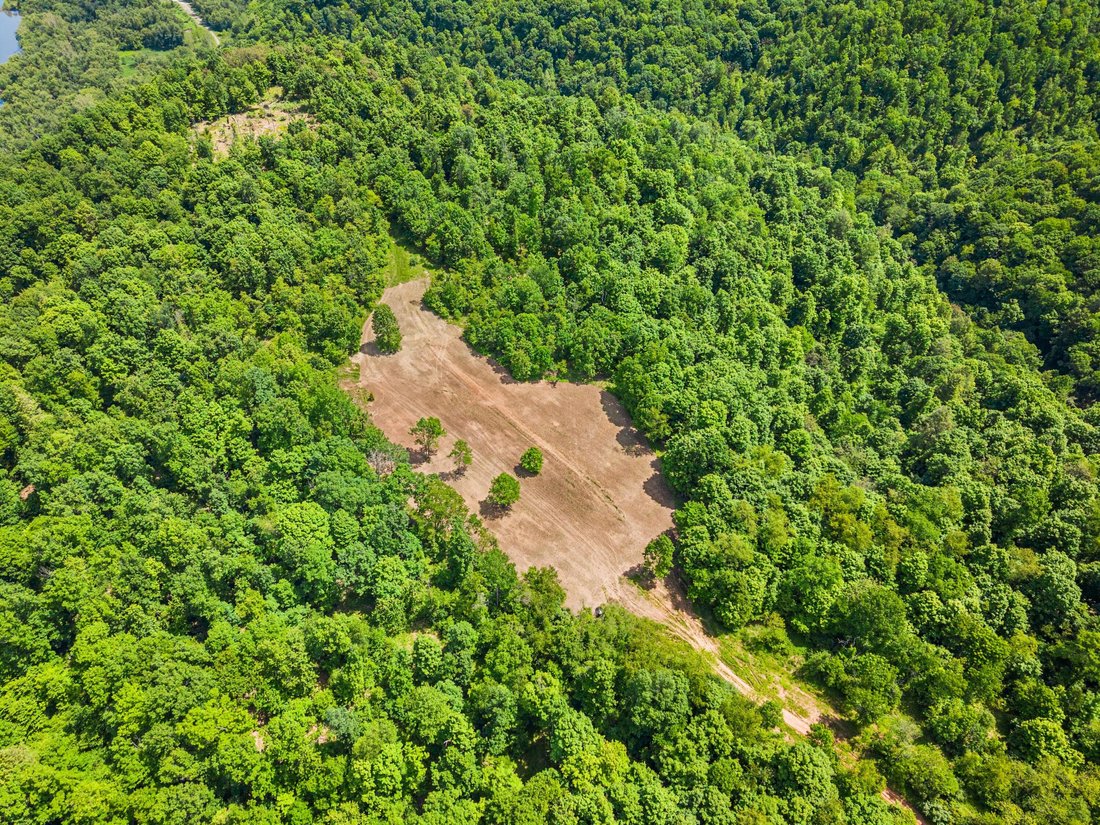 Farm Ranch in Vandergrift, Pennsylvania, United States 4 - 18133027