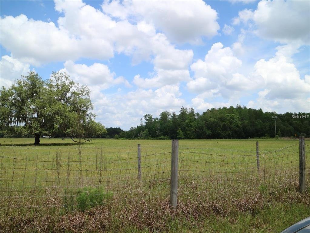 Land in Odessa, Florida, United States 5 - 18133394