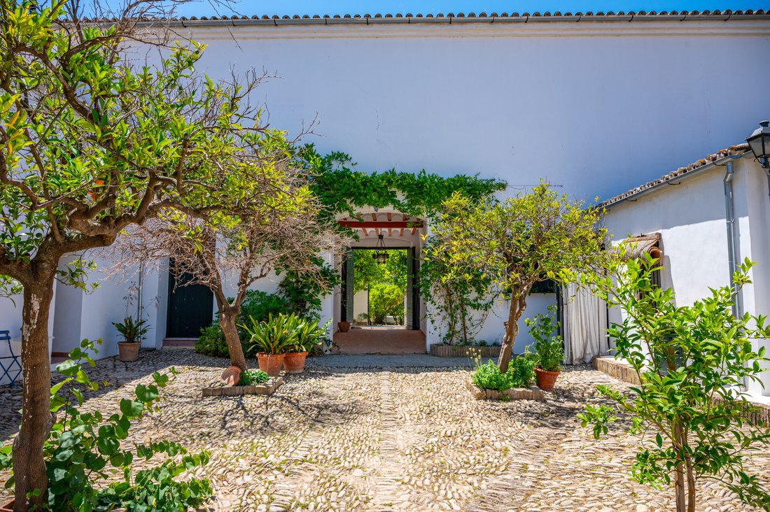 Country House in Cadiz, Andalusia, Spain 4 - 18133339