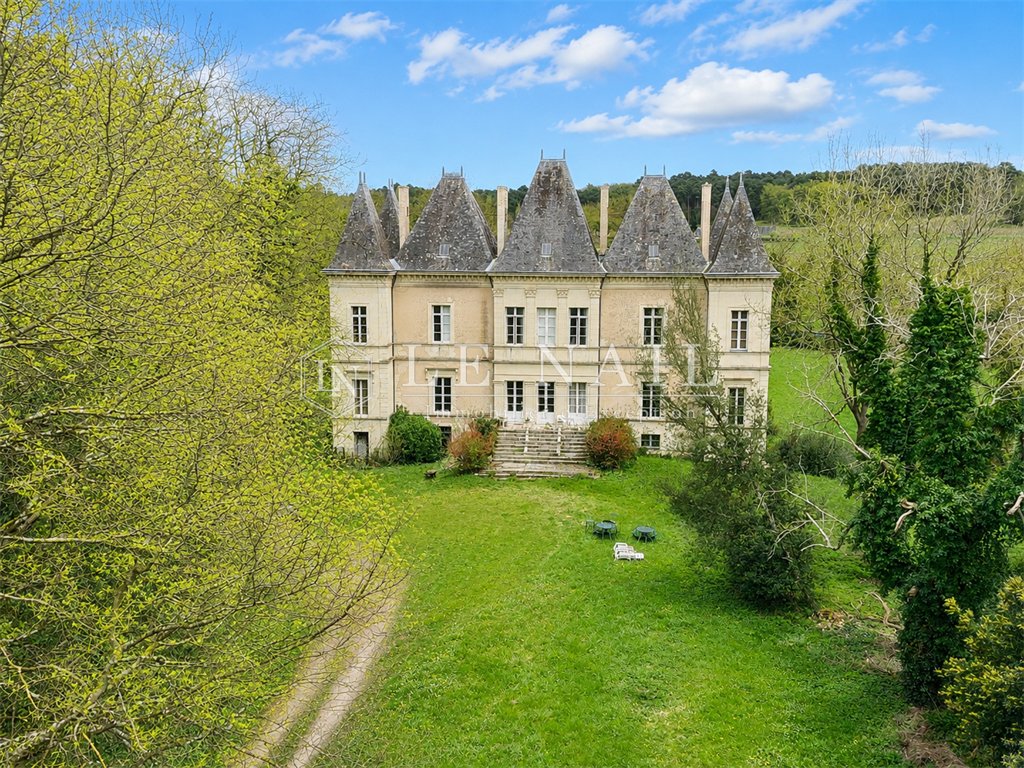 Castle in Delessert-Saint Louis-Nantilly, Saumur, France 1 - 18133684