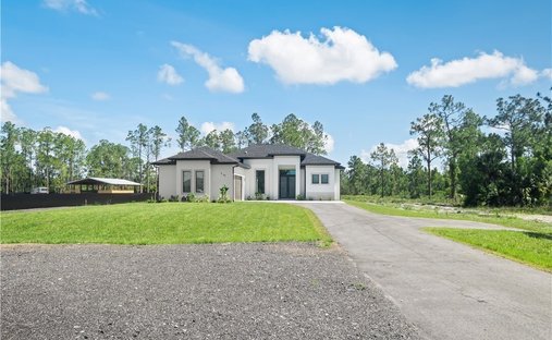 House in Naples, Florida, United States 1