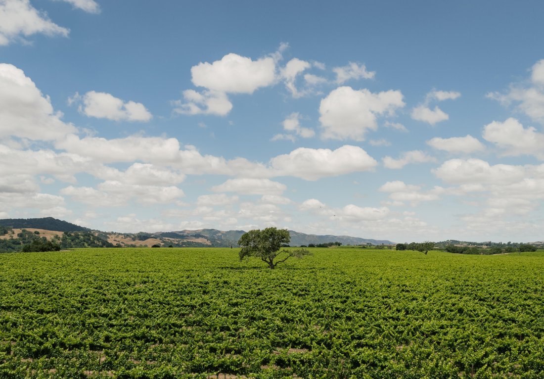 House in Santa Ynez, California, United States 5 - 18140667