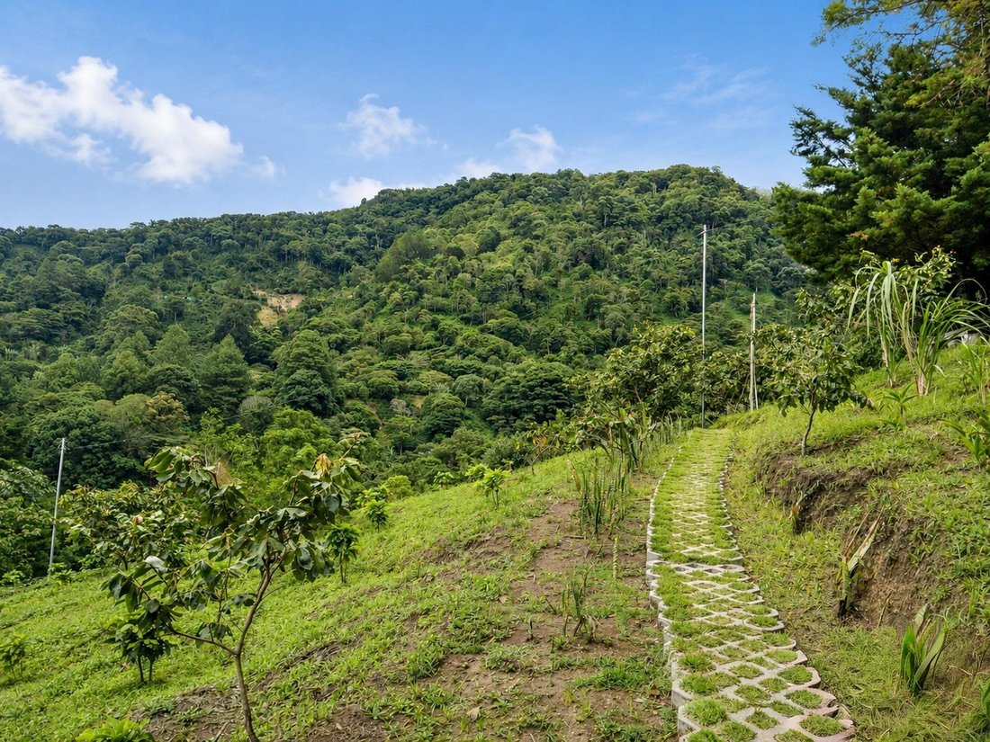 Land in Jaramillo, Chiriquí, Chiriquí Province, Panama 5 - 18141573