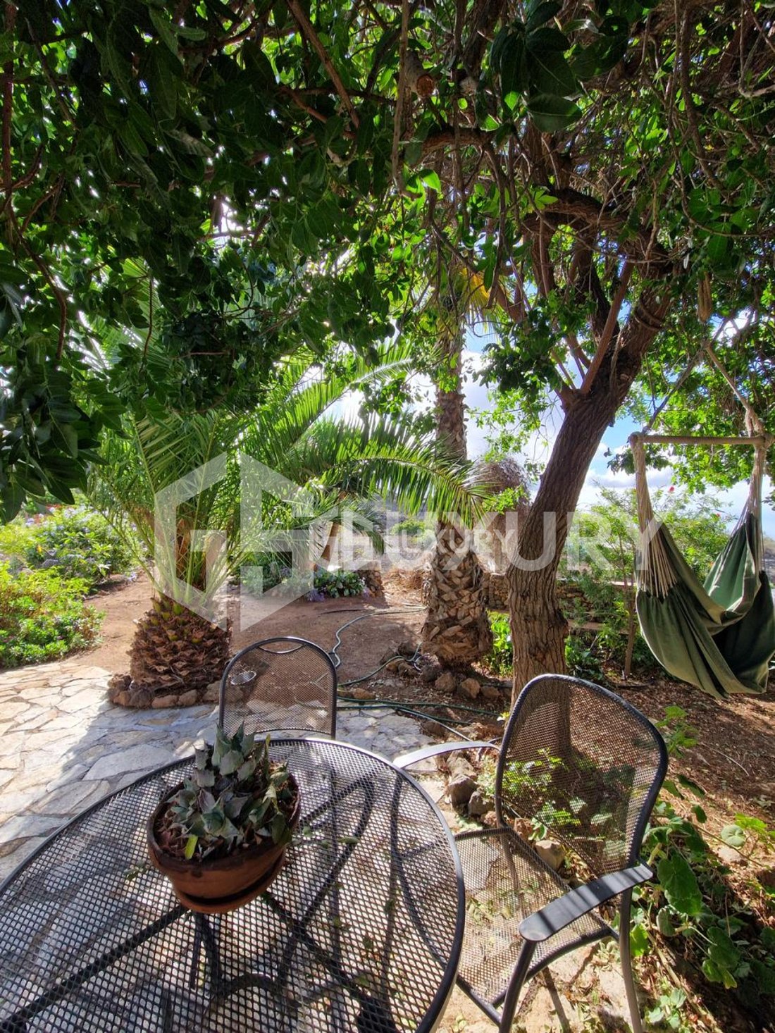 House in Guia de Isora, Canary Islands, Spain 4 - 18141238