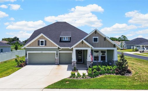 House in San Antonio, Florida, United States 1