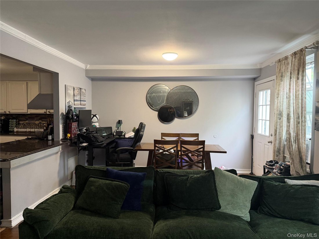 House in New York, New York, United States 4 - 18140854