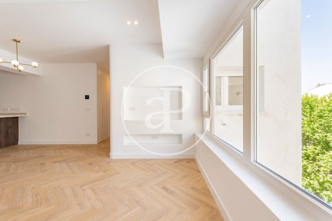Apartment in Barrio Salamanca, Madrid, Spain 5 - 18142722