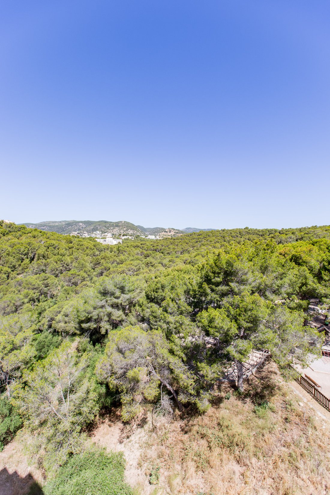 Penthouse in Palma, Balearic Islands, Spain 3 - 18142775