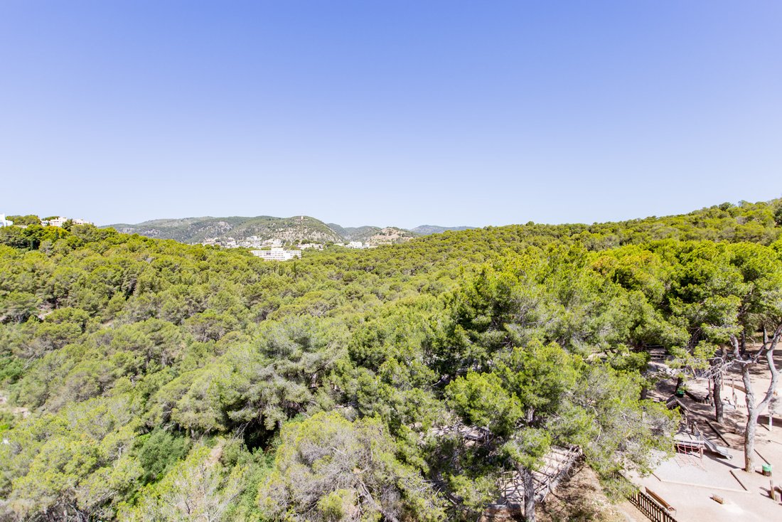 Penthouse in Palma, Balearic Islands, Spain 5 - 18142775
