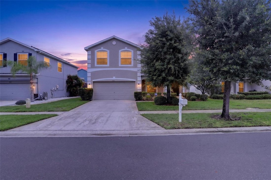 House in Tampa, Florida, United States 1 - 18143190