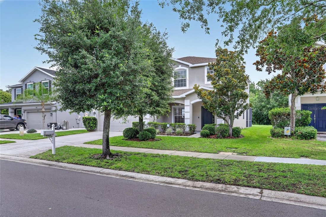 House in Tampa, Florida, United States 3 - 18143190