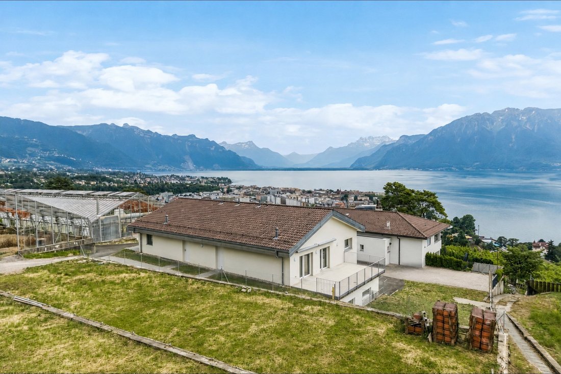 House With 2 Fully Renovated Apartments!
