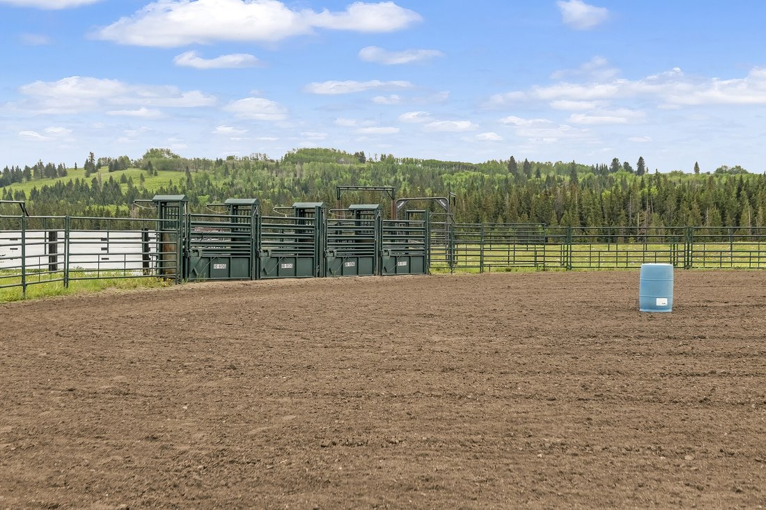 Farm Ranch in Diamond Valley, Alberta, Canada 5 - 18143413
