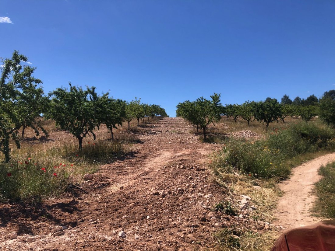 Land in Elche de la Sierra, Castile-La Mancha, Spain 4 - 18143793