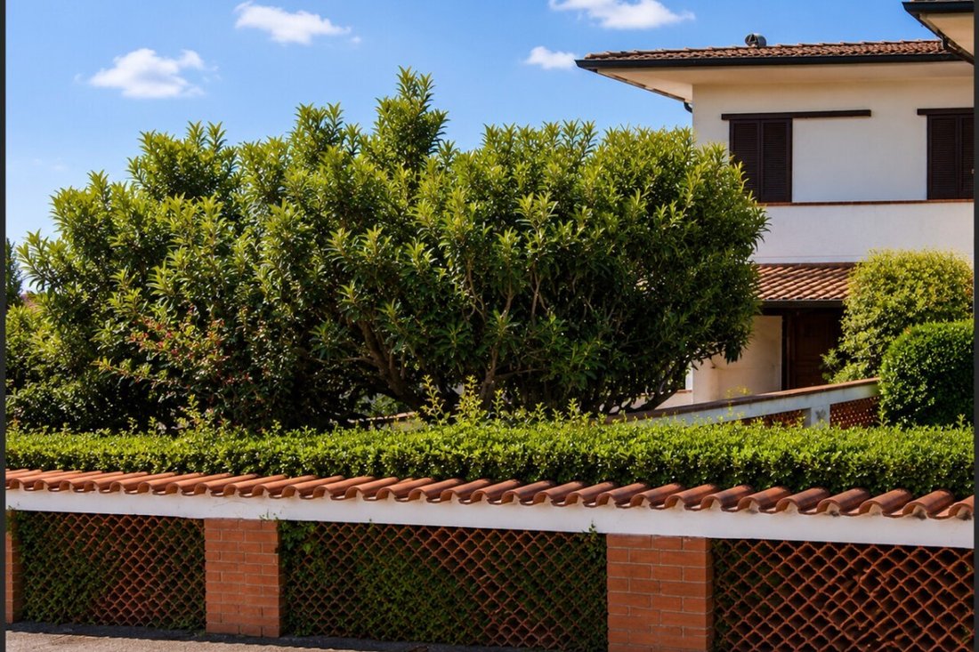 Villa in Pietrasanta, Tuscany, Italy 2 - 15828963