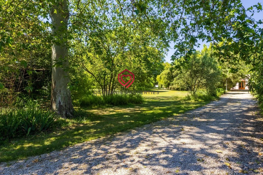 Estate in Alaigne, Occitania, France 5 - 18144633