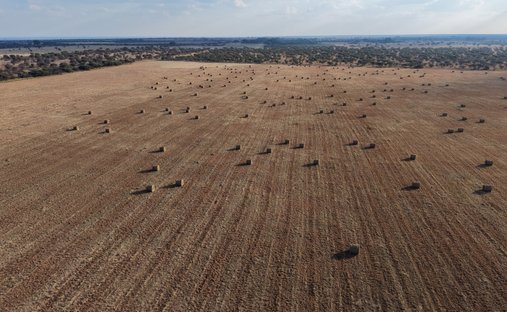 Rancho en Bela-Bela, Provincia de Limpopo, Sudáfrica 1