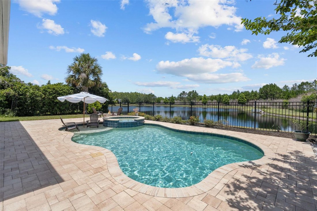 House in Odessa, Florida, United States 4 - 18145397