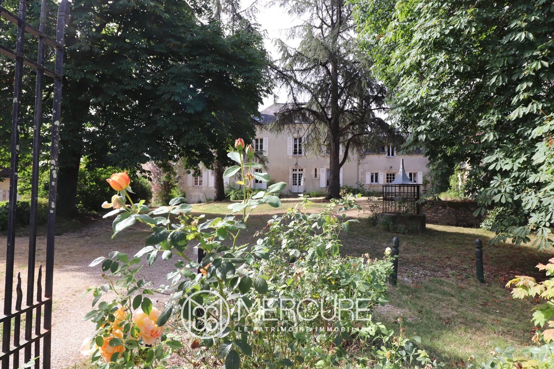 Castle in Le Blanc, Centre-Val de Loire, France 3 - 18146563